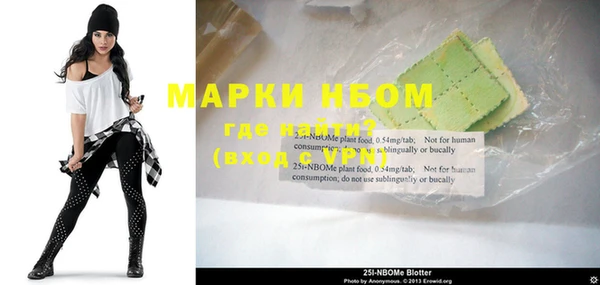 ПСИЛОЦИБИНОВЫЕ ГРИБЫ Верея