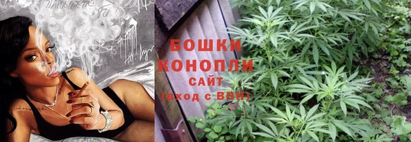mix Богородск