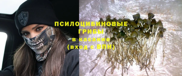 apvp Верхний Тагил